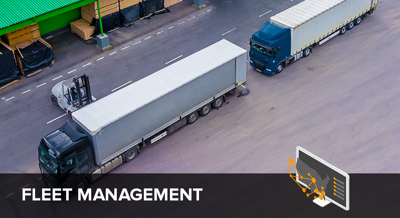 Fleet Risk Management: 8 Ways To Reduce Risk - Vector